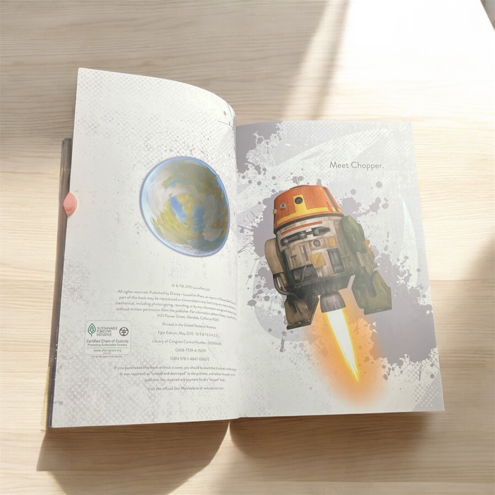 NEW Set of 2 World of Reading Level 1 Books Star Wars Rebels Disney Sabine - Picture 5 of 10